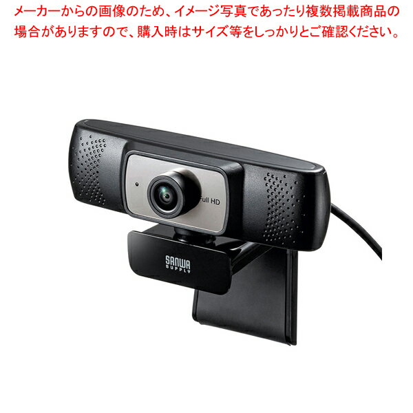 【まとめ買い10個セット品】サンワサプライ 会議用ワイドレンズカメラ CMS-V53BK