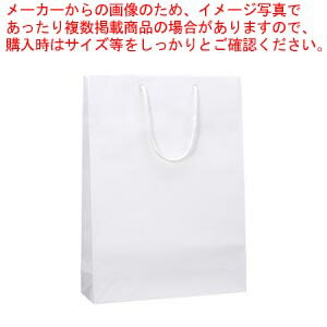 【まとめ買い10個セット品】ブライトバッグ G2 6138001 シロ 1枚