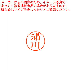 【まとめ買い10個セット品】ネーム9 既製 浦川 XL-9 0404 ウラカワ 1本