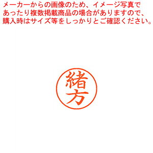 商品の仕様●印面9.5mmのスタンダードサイズ。●インキ補充の簡単なカートリッジ式。●規格:楷書体●印面サイズ:9.5mm●顔料系インキ※商品画像はイメージです。複数掲載写真も、商品は単品販売です。予めご了承下さい。※商品の外観写真は、製造時期により、実物とは細部が異なる場合がございます。予めご了承下さい。※色違い、寸法違いなども商品画像には含まれている事がございますが、全て別売です。ご購入の際は、必ず商品名及び商品の仕様内容をご確認下さい。※原則弊社では、お客様都合（※色違い、寸法違い、イメージ違い等）での返品交換はお断りしております。ご注文の際は、予めご了承下さい。