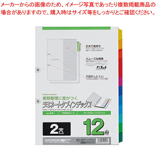 ラミネートタブインデックス 2穴12山 LT4212 1冊【見やすい おしゃれ カラフル 仕切り ファイル用】