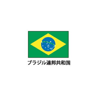 旗(世界の国旗)　エクスラン国旗　ブラジル　取り寄せ商品
