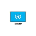 旗(世界の国旗) エクスラン国旗 国連 取り寄せ商品