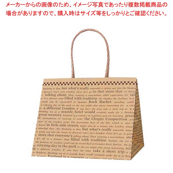 【まとめ買い10個セット品】 手堤袋 Pスムース 25-19(25枚入)未晒チェッカー