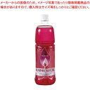 【まとめ買い10個セット品】レインボーオイル OL-1000 レッド(R)