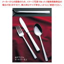 【まとめ買い10個セット品】 18-8 オーロラ コーヒースプーン