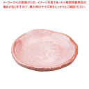 マラソン期間限定!\エントリーでポイント5倍!/【まとめ買い10個セット品】 アルセラム強化食器 赤楽取皿 EC9-67