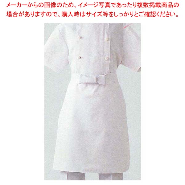 【まとめ買い10個セット品】 調理用前掛 TT8700-0 L