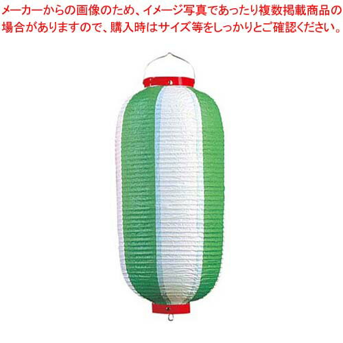【まとめ買い10個セット品】 長 ビニール提灯 9号 緑/白