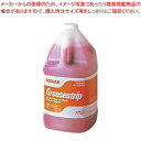 スーパーSALE限定!\エントリーでポイント5倍!/油汚れ用 洗浄剤 グリースストリップ