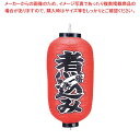 マラソン期間限定!\エントリーでポイント5倍!/【まとめ買い10個セット品】 ビニール提灯 225 煮こみ 9号長