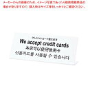 【まとめ買い10個セット品】 多国語プレート TGP1025-9 クレジットカード使えます。(3)