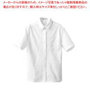 マラソン期間限定!\エントリーでポイント5倍!/【まとめ買い10個セット品】 ブラウス(女性用)CF1507-0(ピンタック半袖)13号
