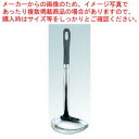 マラソン期間限定!\エントリーでポイント5倍!/【まとめ買い10個セット品】 愛妻専科 横レードル(大)AL-06