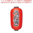 【まとめ買い10個セット品】 ビニール提灯 262 うなぎ 12号長(3)