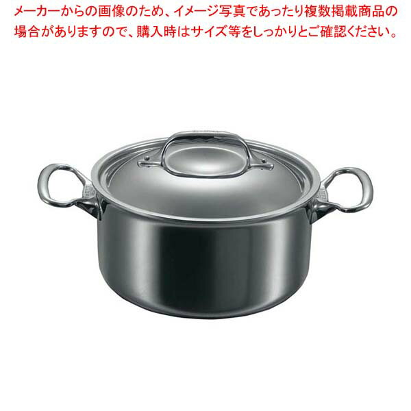 デバイヤー アフィニティ シチューパン(蓋付)3742-20cm