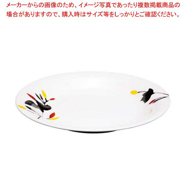 【まとめ買い10個セット品】凜彩 24cm パスタプレート OFM10-400