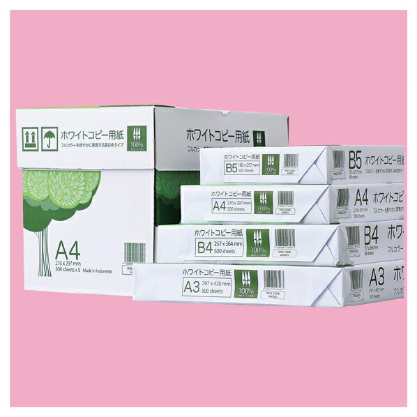高白色コピー用紙 B4 5000枚 61-550-38-11