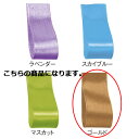 【まとめ買い10個セット品】サテン 10mm幅 ゴールド 61-800-69-43 【 店舗什器 小物 ディスプレー ギフト ラッピング 包装紙 袋 消耗品 店...
