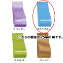 サテンリボン スカイブルー 25mm 幅×20m 61-800-69-89 【 ラッピング用品 リボン・タイ リボン サテンリボン ギフト/ラッピング用品 】【...