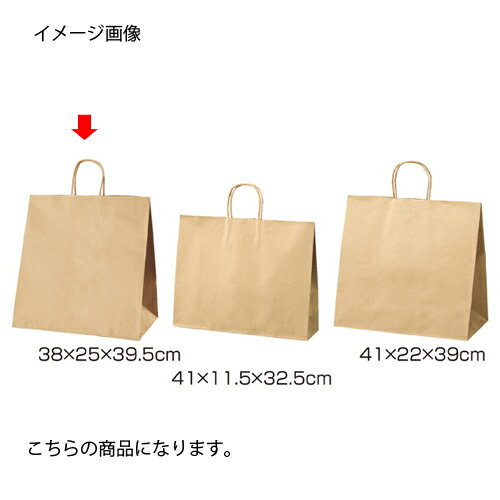 丸ひもタイプ 茶無地 38×25×39.5 200枚 61-431-24-20 【 店舗備品 包装紙 ラッピング 袋 ディスプレー店舗 】 2