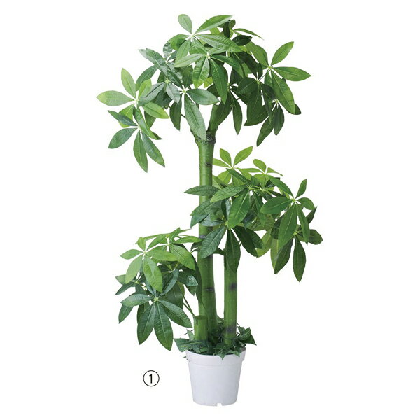 パキラ(人工樹木) 61-655-55-1