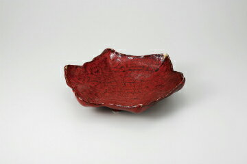 【38K305-10】赤黒釉彩 9.0紅葉鉢まごころ第38集【キャンセル/返品不可】【卸問屋名調 おしゃれ 食器 テーブルウェア 業務用 居酒屋 レストラン 喫茶店 ホテル 家庭用】