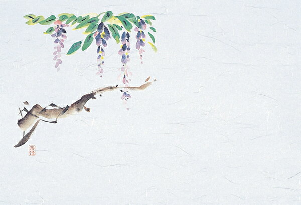 M30-291　四季紙　千寿　藤　100枚入