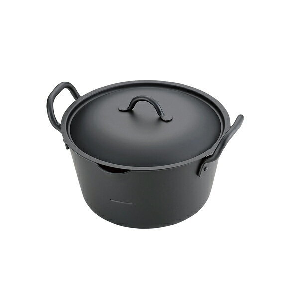 IH 鉄 たっぷり深型揚鍋 20cm (蓋付)