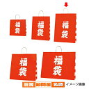 手提げ紙袋 福袋 38×15×50cm 50枚 61-312-1-3 【 ラッピング用品 ラッピングシリーズ 和風ラッピング 持ち手付き柄入り紙袋 】