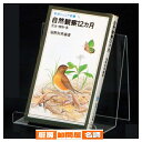 小物スタンド中 5個入 61-555-44-2 【 演出・ディスプレイ用品 アクセサリーディスプレイ ガラス・アクリル製 小物スタンド 】