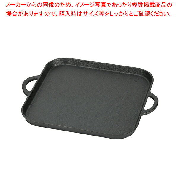 Other - スプラウト 鉄鋳物製角型プレート27×27cm