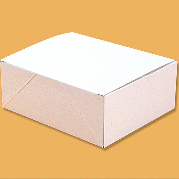 エコパームBOX プレーンL 20個