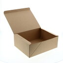 ネオクラフト ケーキBOX LL 20枚