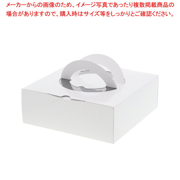 ノーブランド HCホワイト H80 6号 10枚