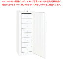 ダイレイ スーパーフリーザー SS-300【人気 おすすめ 業務用 販売 楽天 通販】