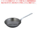 【6/4 20時から!エントリーでポイント5倍!!】【まとめ買い10個セット品】遠藤商事 / TKG鋳鉄アイアンブルー フライパン FC-22 22cm【ih対...