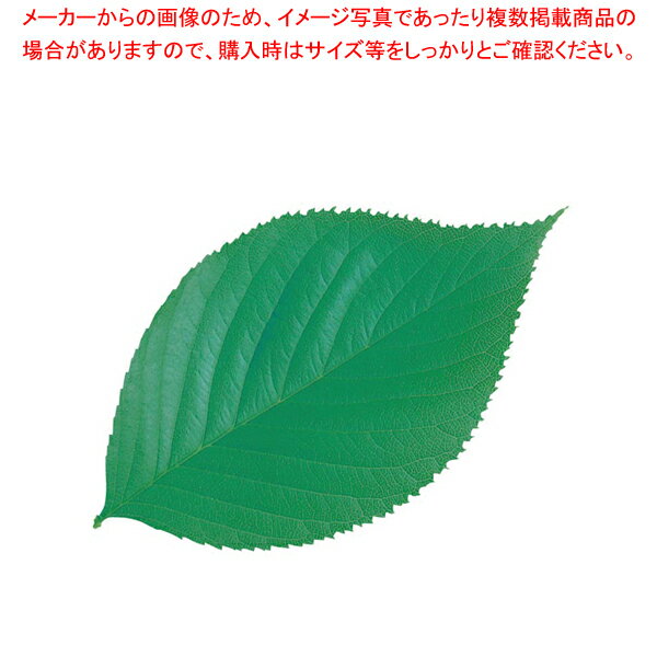 【まとめ買い10個セット品】型抜きクリアシート(200枚入) 65782 ミニ・木の葉【 料理演出用品 敷き小物 バレンタイン イベント クリスマス ホワイトデー 料理演出用品 敷き小物 業務用】(3)