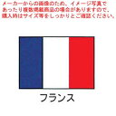 エクスラン万国旗 70×105cm フランス【 店舗備品 既製品 のぼり旗 店舗備品 既製品 のぼり旗 業務用】