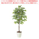 【6/11 2時まで!エントリーでポイント5倍!!】SG ベンジャミナ スプラッシュ 90711 1.5m【厨房用品 調理器具 料理道具 小物 作業 厨房用品 ...