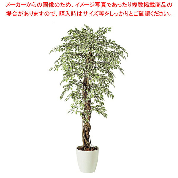 SG ベンジャミナ スターライトリアナ 90722 1.8m【人工樹木 作り物】【厨房用品 調理器具 料理道具 小..