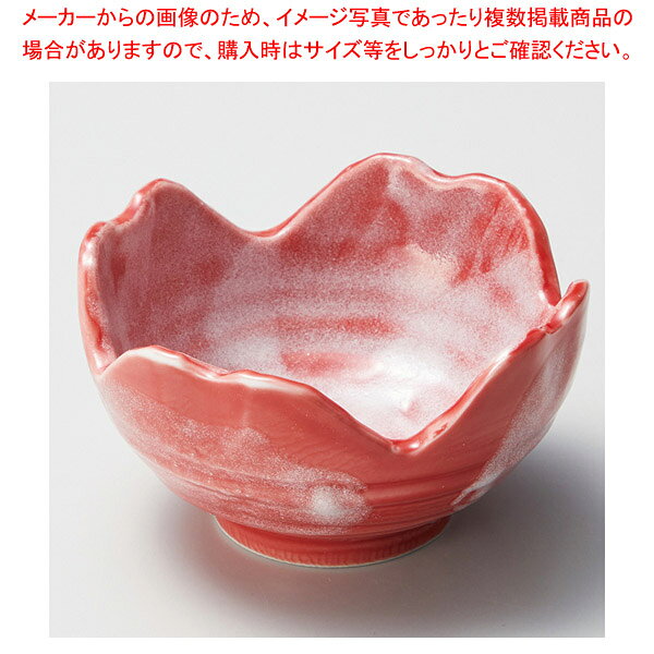 商品の仕様●寸法:φ9.4×5.2cm※商品画像はイメージです。複数掲載写真も、商品は単品販売です。予めご了承下さい。※商品の外観写真は、製造時期により、実物とは細部が異なる場合がございます。予めご了承下さい。※色違い、寸法違いなども商品画像には含まれている事がございますが、全て別売です。ご購入の際は、必ず商品名及び商品の仕様内容をご確認下さい。※原則弊社では、お客様都合（※色違い、寸法違い、イメージ違い等）での返品交換はお断りしております。ご注文の際は、予めご了承下さい。