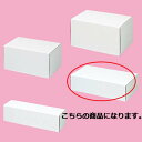 フリーボックス 31.5×17×8 ワイン2本用 10枚 61-286-2-14 【 ラッピング用品 ギフトボックス ギフトボックス フリーボックス ホワイト ...