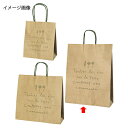 【まとめ買い10個セット品】ナチュール 32×11.5×41 50枚 61-311-3-4 【 店舗什器 小物 ディスプレー ギフト ラッピング 包装紙 袋 消...