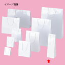 ブライトバッグ ホワイト 11×10×36.5 10枚 61-314-1-3 【 ラッピング用品 紙袋 手提げ紙袋(無地) 紐付き紙袋ブライトバッグ 】