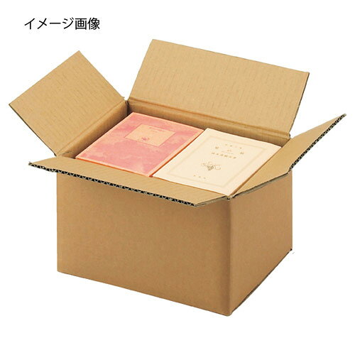 【まとめ買い10個セット品】ダンボールケース 24×18×16.5cm 30枚 61-318-1-24 【 店舗什器 小物 ディスプレー ギフト ラッピング 包装紙 袋 消耗品 店舗備品 】