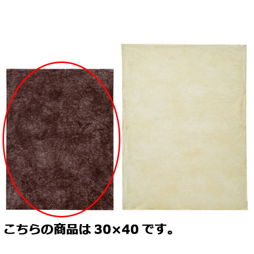 【まとめ買い10個セット品】不織布インナーバッグ薄Sダークブラウン 30×40 100枚 61-283-11-3 【 包装紙 薄葉紙・不織布 不織布インナーバッ...