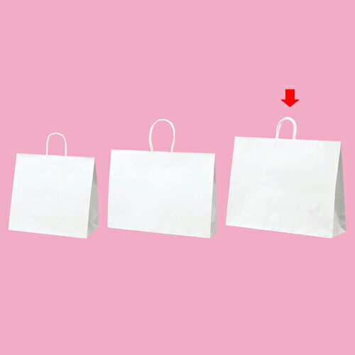 手提げ紙袋です。60×18×47cm、50枚入り。大容量だから業務用におすすめです。無地でシンプルだから様々なシーンでお使いいただけます。丈夫なPPひもだから安心です。プレゼントや贈り物にも最適です。商品の仕様●安心の品質と充実の品揃え●サイズ：厚み：120g/平方メートル●素材・加工：片つやクラフト紙 持ち手：白PPひも●納期について：別送のため多少お時間がかかります。詳しくはお問い合わせください。※商品画像はイメージです。複数掲載写真も、商品は単品販売です。予めご了承下さい。※商品の外観写真は、製造時期により、実物とは細部が異なる場合がございます。予めご了承下さい。※色違い、寸法違いなども商品画像には含まれている事がございますが、全て別売です。ご購入の際は、必ず商品名及び商品の仕様内容をご確認下さい。※原則弊社では、お客様都合（※色違い、寸法違い、イメージ違い等）での返品交換はお断りしております。ご注文の際は、予めご了承下さい。【exp-35-p0550】