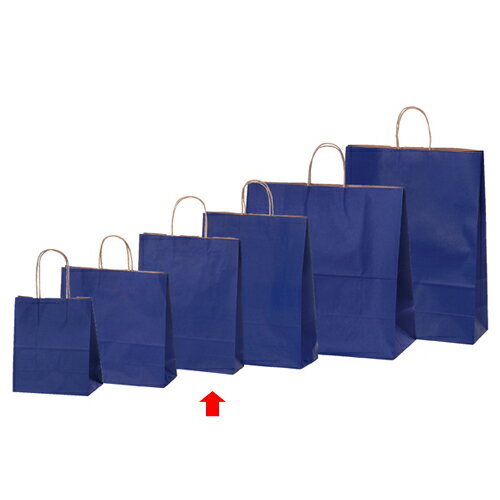 【まとめ買い10個セット品】カラー手提げ紙袋 ネイビー 27×8×34 50枚 61-309-11-5 【 店舗備品 包装紙 ラッピング 袋 ディスプレー店舗 】