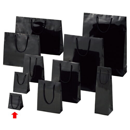 【まとめ買い10個セット品】手提げ紙袋 ブライトバッグ クロ 10×7×12cm 10枚 61-314-2-2 【ラッピング用品 ラッピングシリーズ バレンタイン・イースター・入学 ブライトバッグ ブラックシモジマ 紙袋 ツヤ有り 黒】